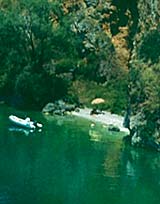 acc5_001.jpg