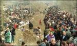crowds.jpg