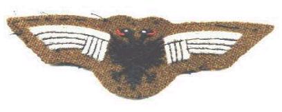 stemunif_1_1_pilotzogu.jpg