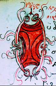 berat70XVIII2.jpg