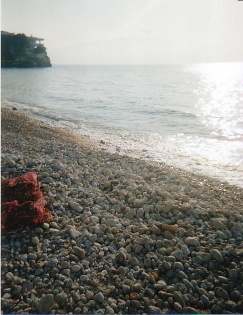 al000002_003.jpg
