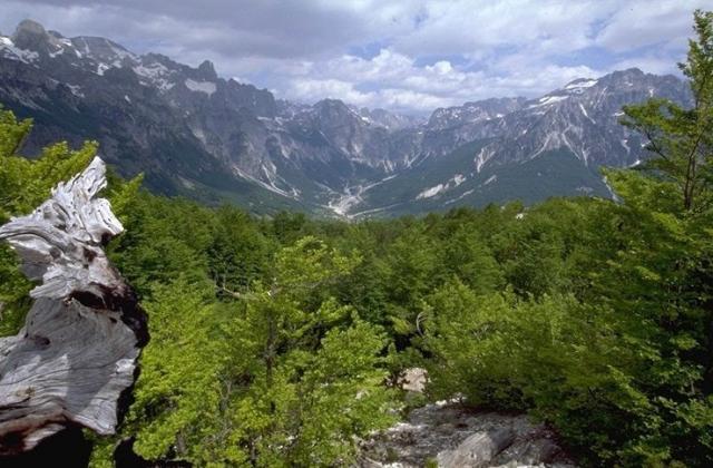 shtepi_gjiro1_007.jpg