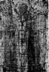 image8.jpg
