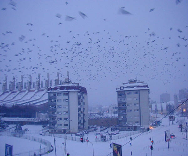 Prishtina_001_001.jpg