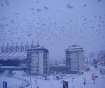 Prishtina_001_001.jpg