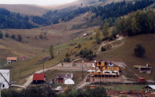 PIM0012.jpg