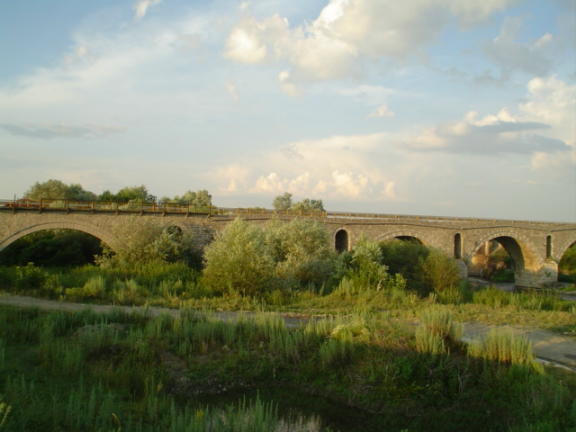 DSC02299.jpg