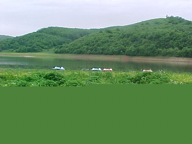 Besiana_002.jpg