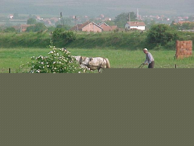 Besiane_001.jpg