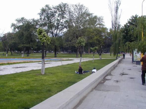 parkurinia.jpg