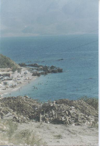 zhironn_2.jpg