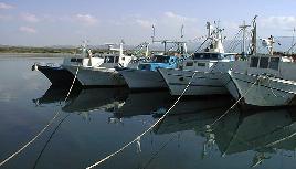 Vlora_2.jpg