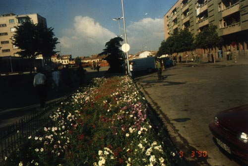 korce09.jpg