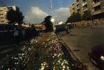 korce09.jpg