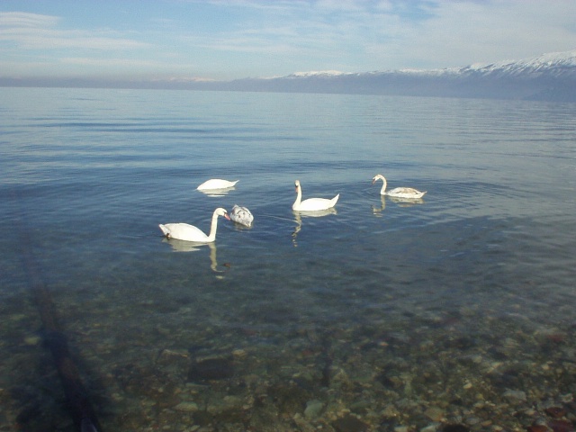 untitled_1_005.jpg