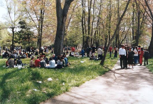 pogradec_drilon_park2.jpg