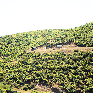 pogradec006_001.jpg